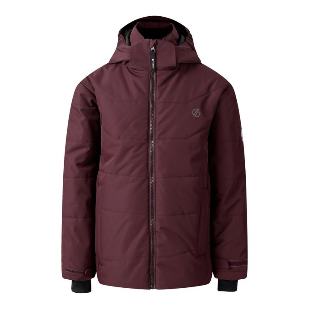 Dare 2B Childrens/Kids Explore Ski Jacket / Fig